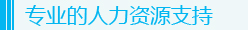 专业的人力资源支持