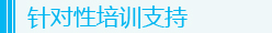 针对性的培训支持
